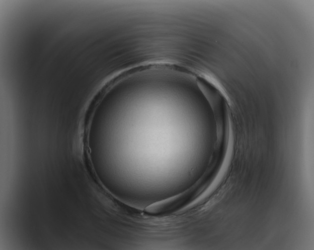 X0000089681124200706281353