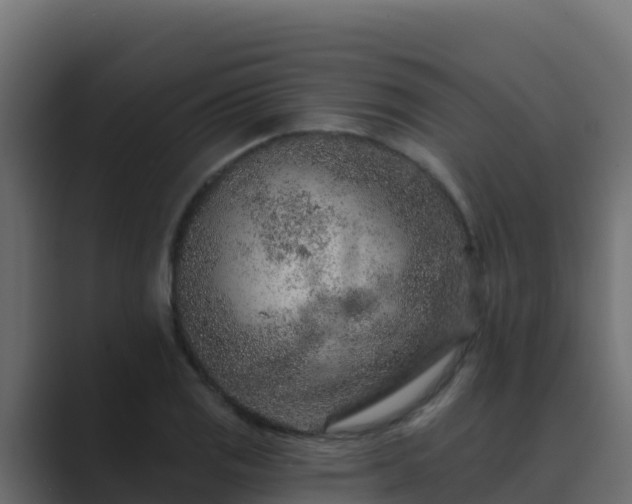 X0000089681125200706281353