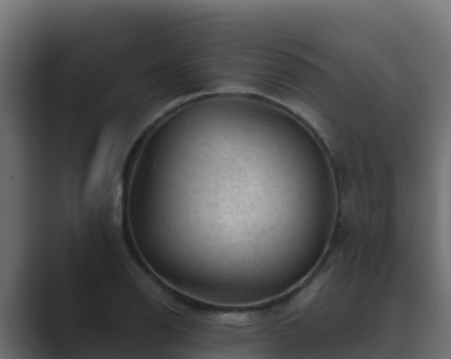 X0000089681126200706281353