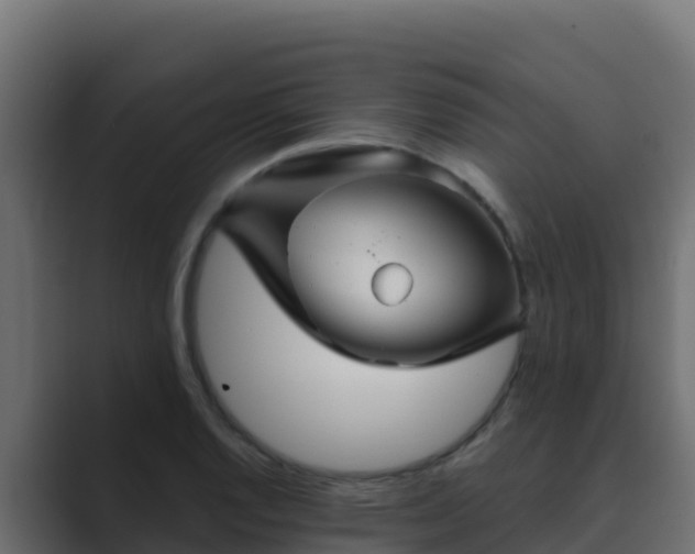 X0000089681128200706281353