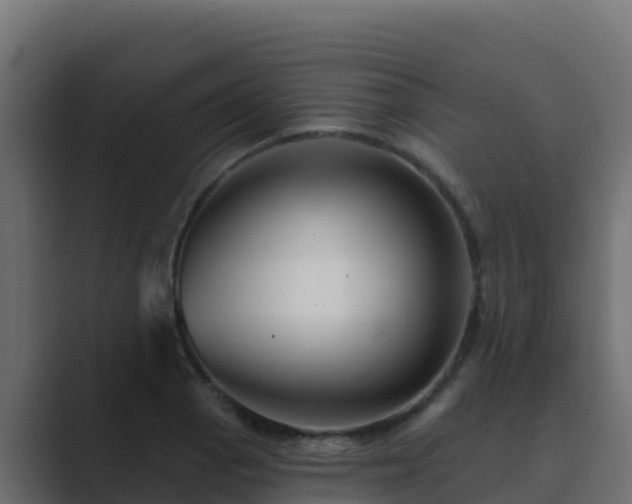 X0000089681129200706281353