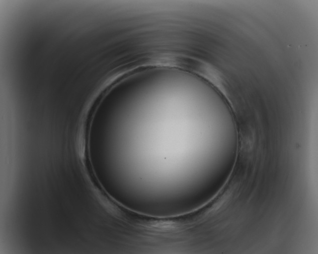 X0000089681131200706281353