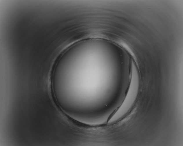 X0000089681133200706281353
