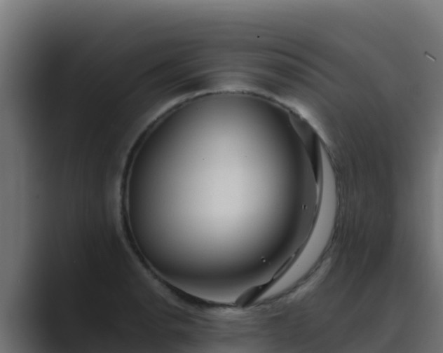 X0000089681134200706281353