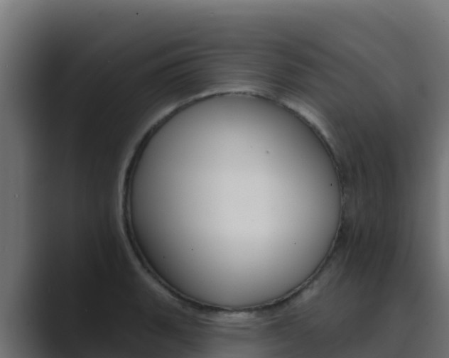 X0000089681135200706281353