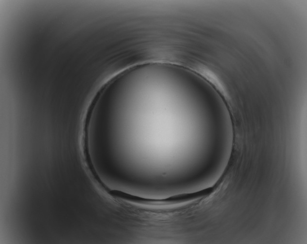 X0000089681136200706281353