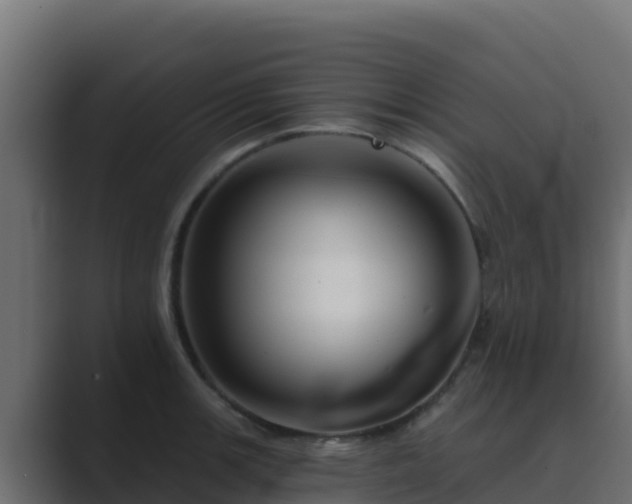 X0000089681139200706281353
