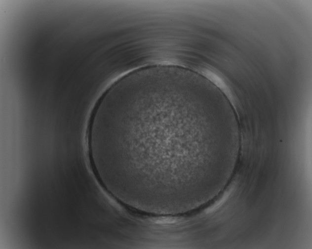 X0000089681141200706281353