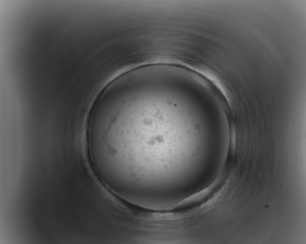 X0000089681142200706281353