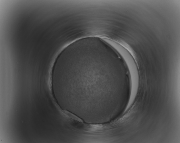 X0000089681144200706281353