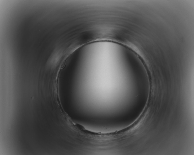 X0000089681145200706281353