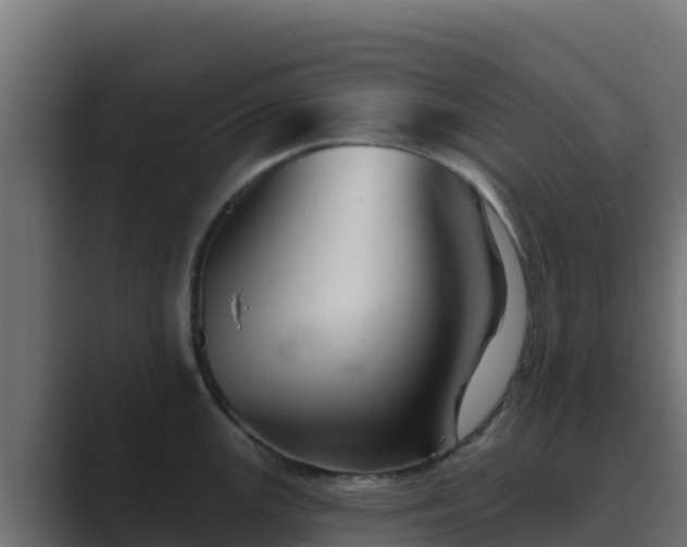 X0000089681147200706281353