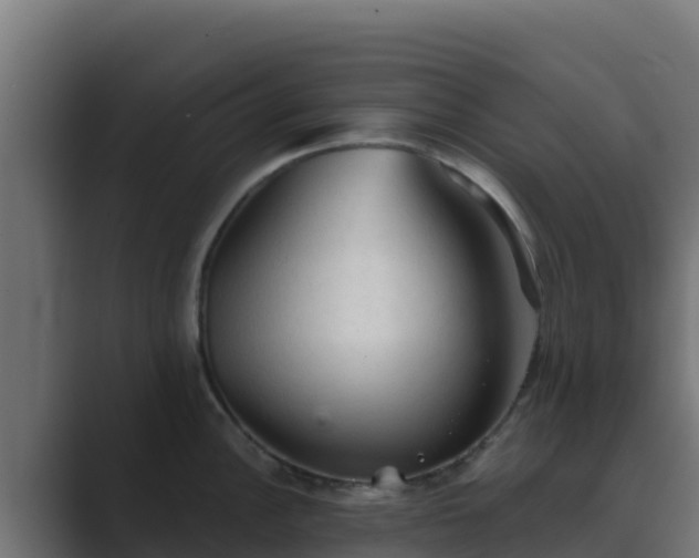 X0000089681148200706281353