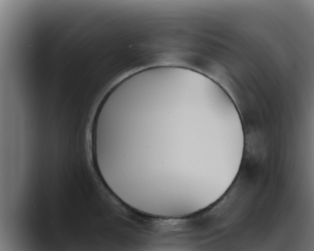 X0000089681150200706281353