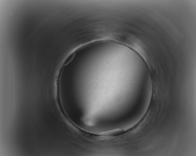X0000089681151200706281353