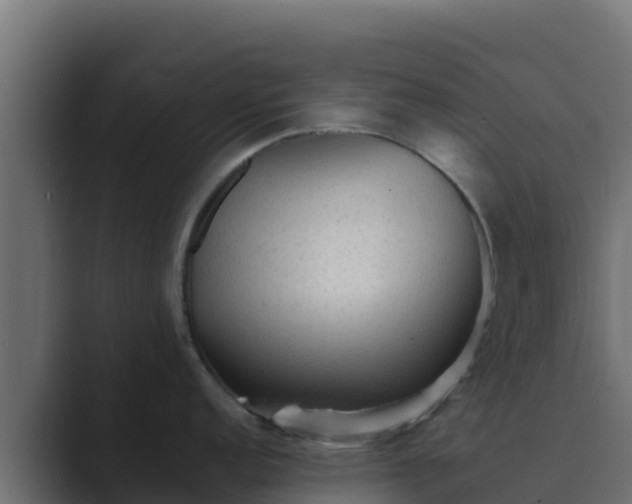 X0000089681152200706281353