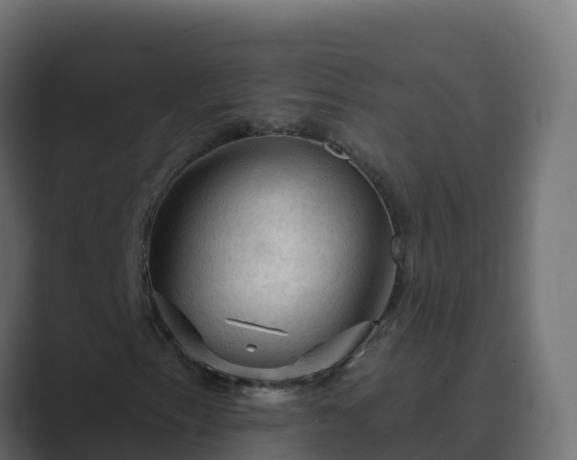 X0000089681153200706281352
