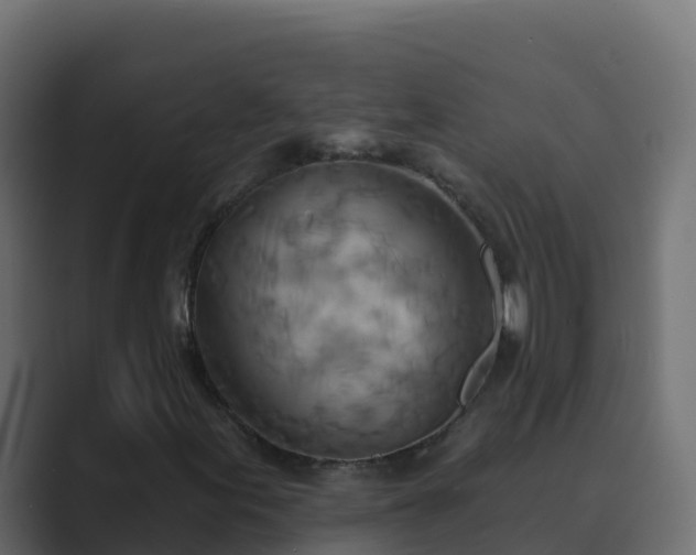 X0000089681155200706281352