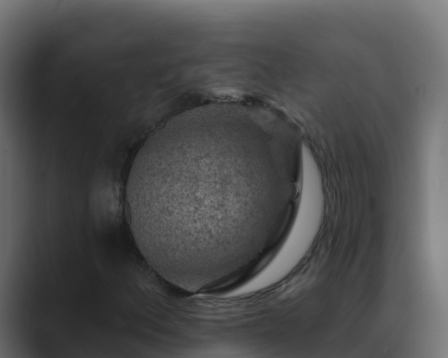 X0000089681156200706281352
