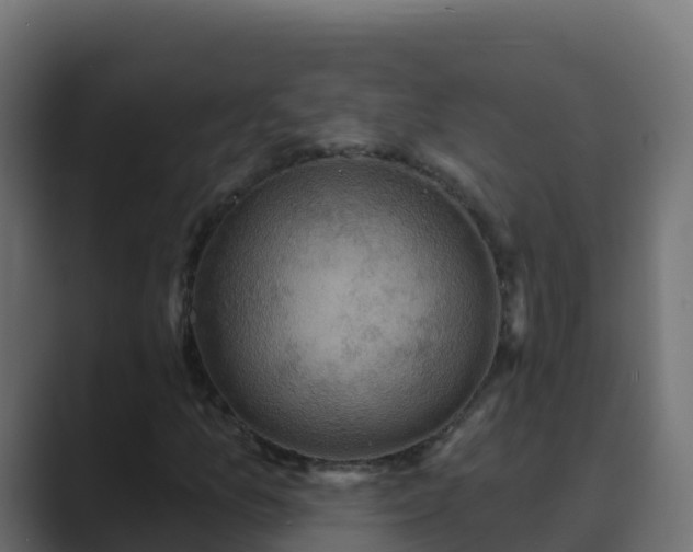 X0000089681157200706281352
