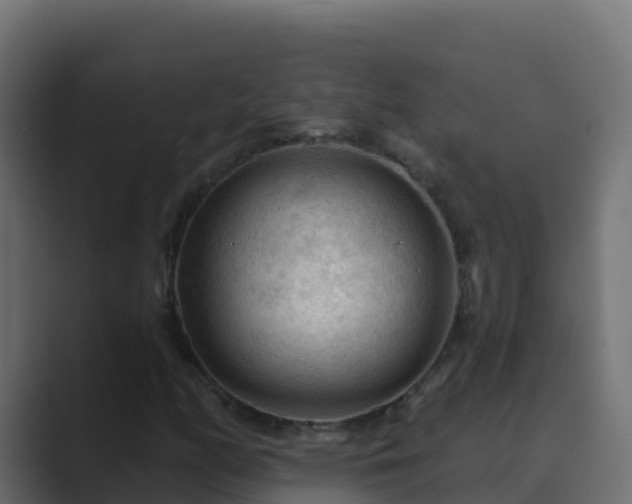 X0000089681158200706281352