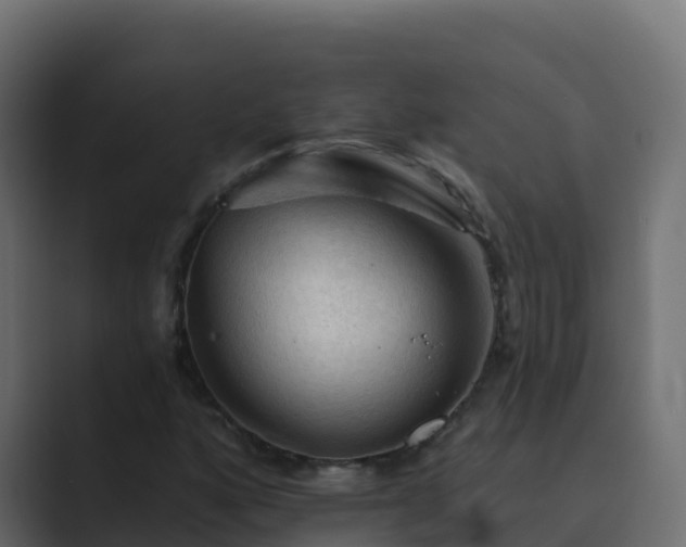 X0000089681160200706281352