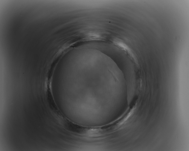 X0000089681161200706281352