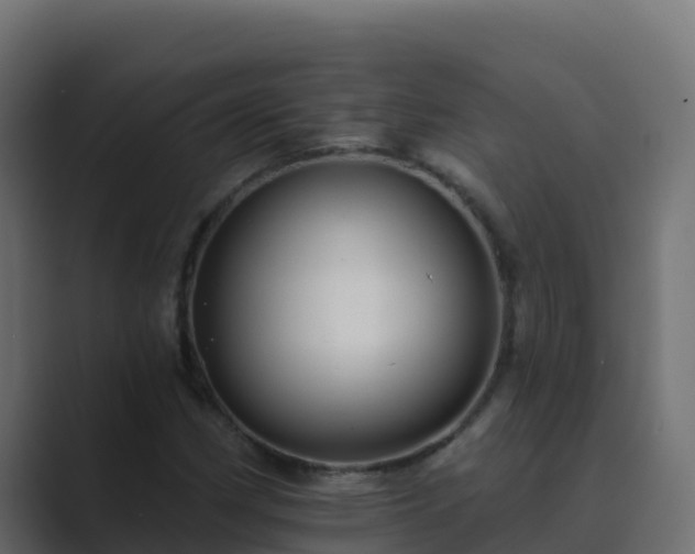 X0000089681162200706281352