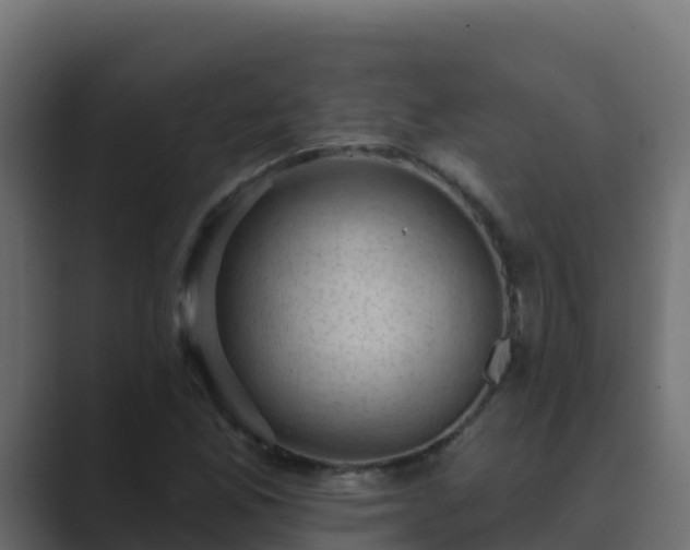 X0000089681165200706281352