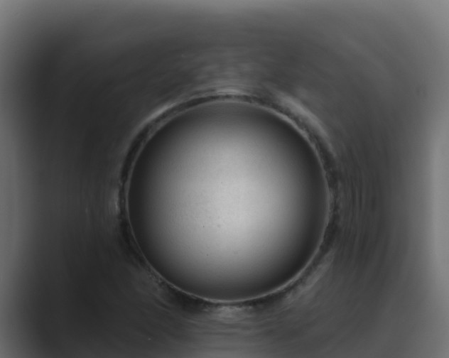 X0000089681166200706281352