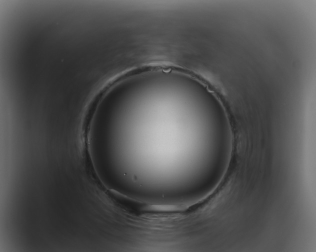 X0000089681167200706281352
