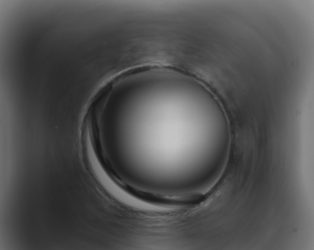 X0000089681168200706281352