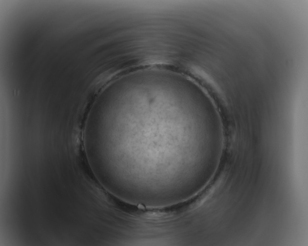 X0000089681169200706281352