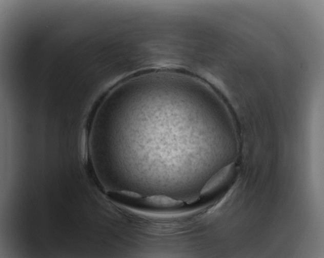 X0000089681171200706281352