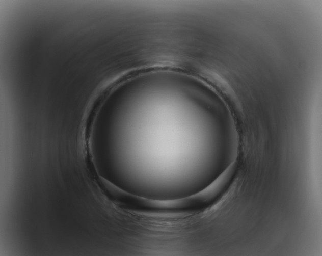 X0000089681172200706281352