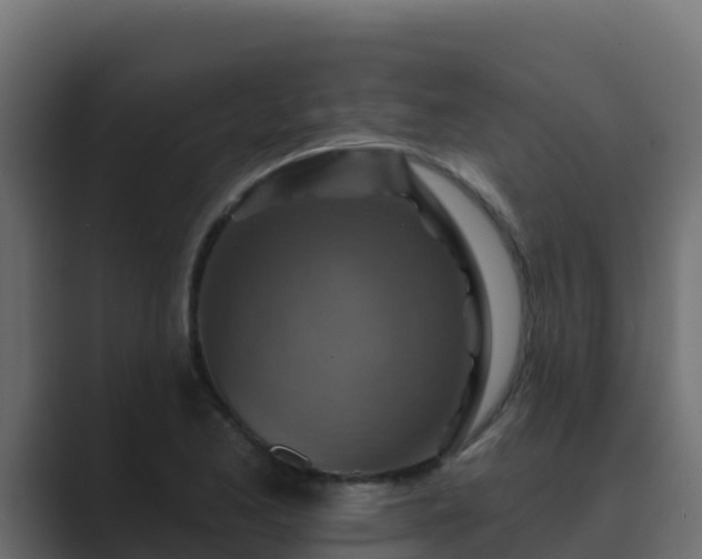X0000089681173200706281352