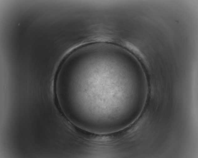 X0000089681174200706281352