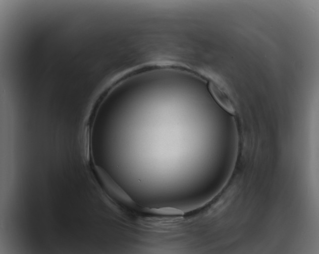 X0000089681175200706281352