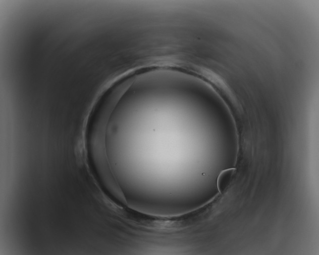 X0000089681176200706281352