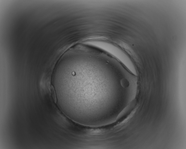 X0000089681177200706281352