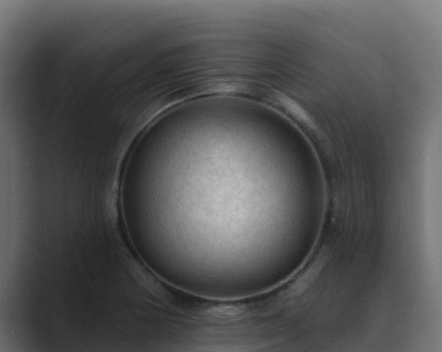 X0000089681178200706281352