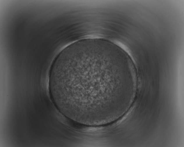 X0000089681179200706281352