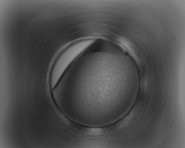 X0000089681180200706281352