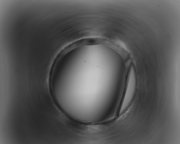X0000089681181200706281352