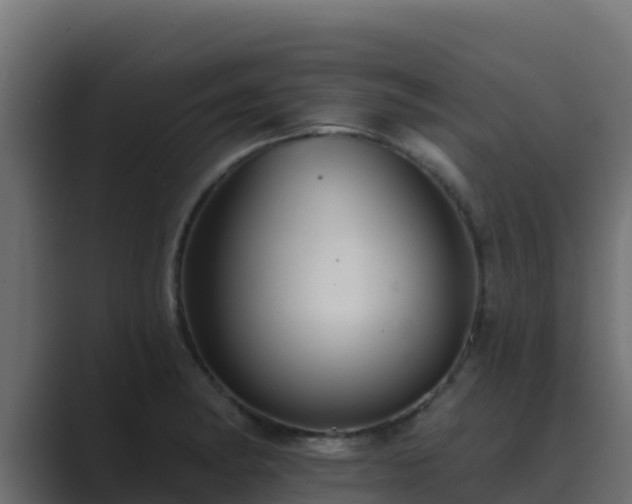 X0000089681182200706281352