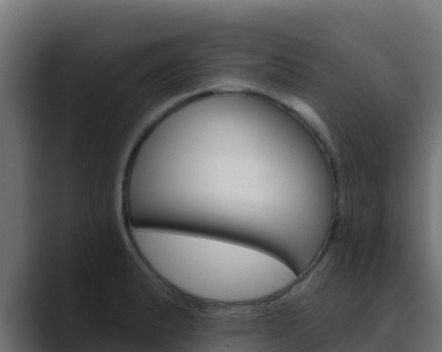 X0000089681183200706281352