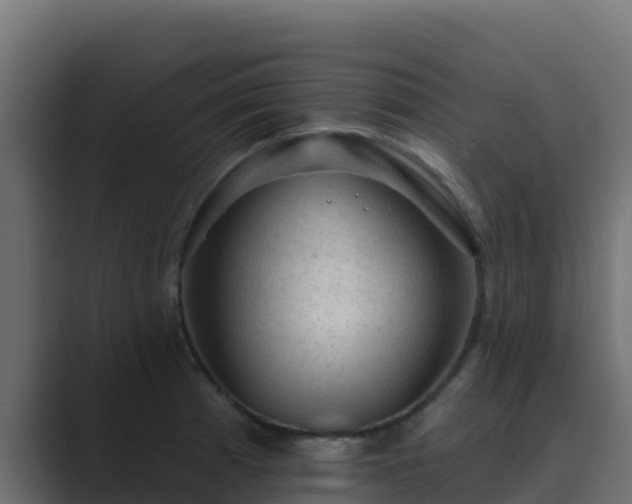 X0000089681185200706281352