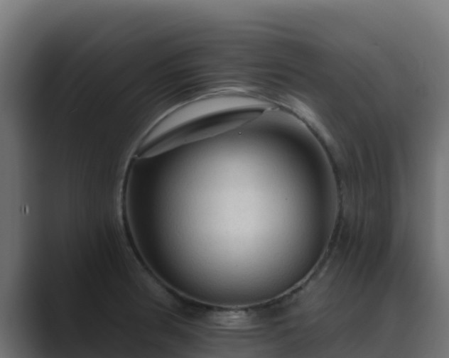 X0000089681186200706281352