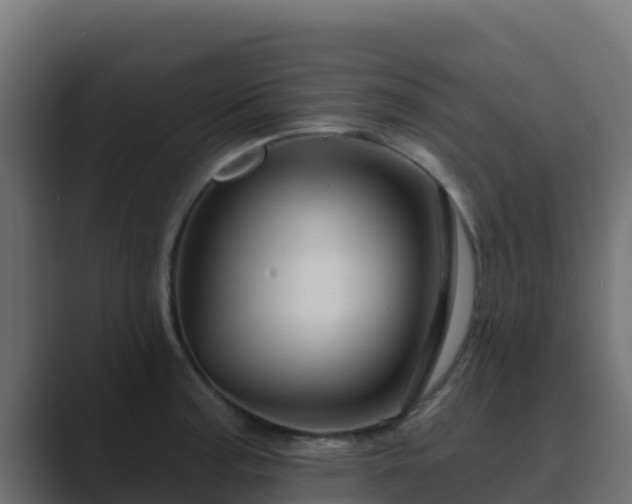 X0000089681187200706281352