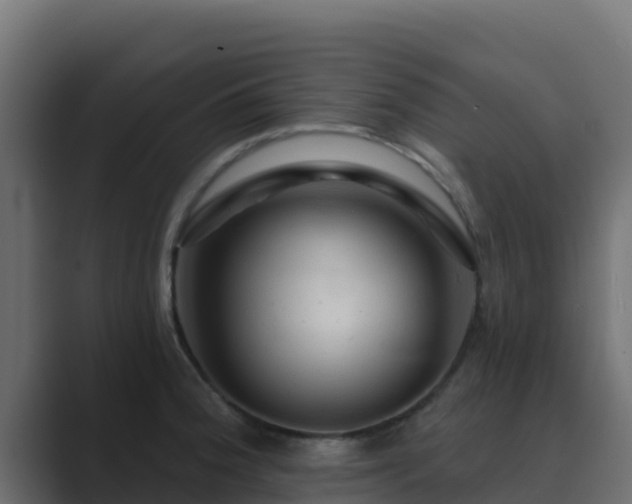 X0000089681188200706281352